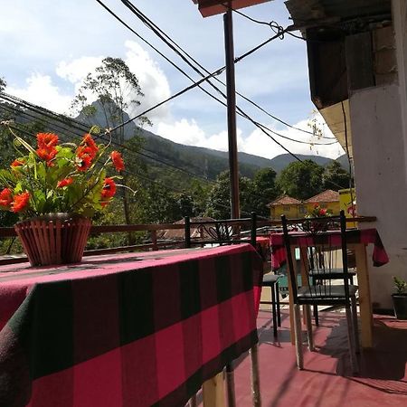 The Peak Residence Nallathanniya Extérieur photo